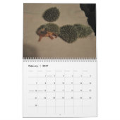 Igelsbabykalender Kalender (Feb 2027)
