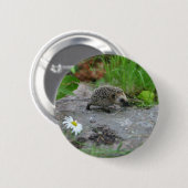 Igelsknopf - kundengerecht button (Vorne & Hinten)