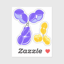 IgG 1 oder 4, lila und gelb Aufkleber