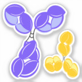 IgG 1 oder 4, lila und gelb Aufkleber (Vorderseite)