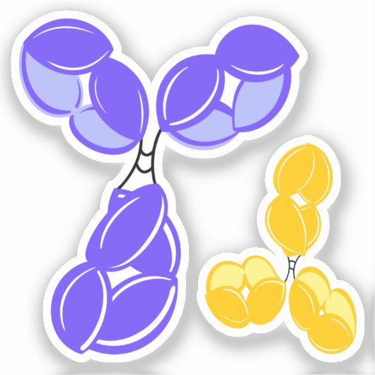 IgG 1 oder 4, lila und gelb Aufkleber (Vorderseite)