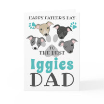 Iggies Dog Vater Italienischer Greyhound Niedlich