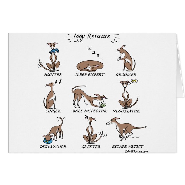 Iggy Rettung (Vorderseite (Horizontal))