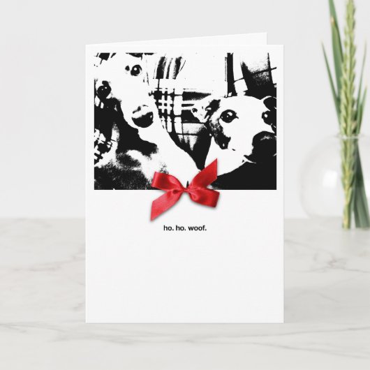 Iggy Weihnachten Ho. Ho. Schuss (Vorderseite)