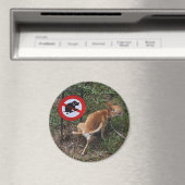 Ignoranz ist Bliss Magnet (In Situ (Geschirrspüler))