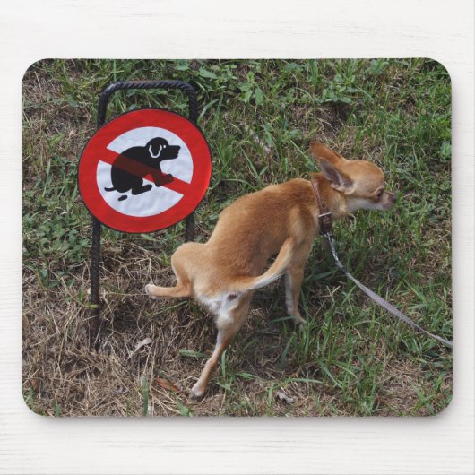Ignoranz ist Bliss Mousepad (Vorne)
