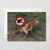 Ignoranz ist Bliss Postkarte (Vorne/Hinten)