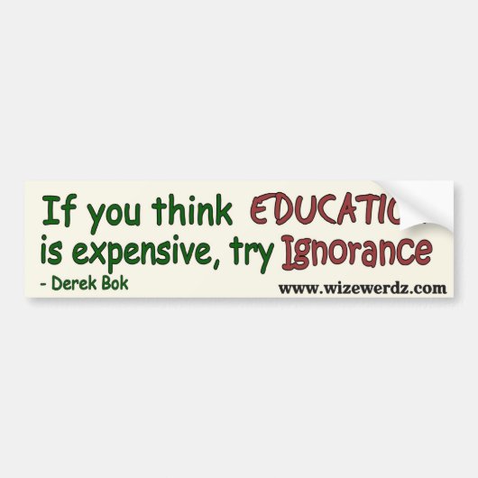 Ignoranzaufkleber - Licht Autoaufkleber (Vorne)