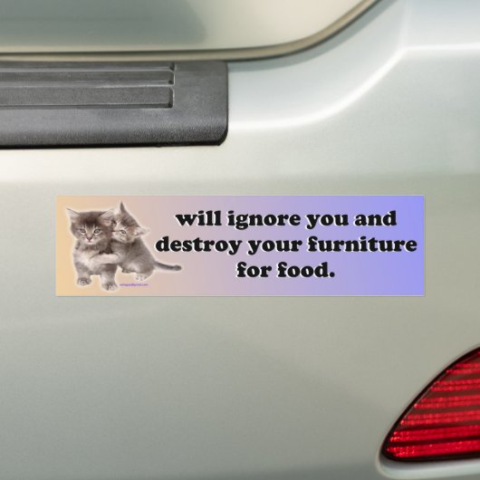 ignoriert Sie Autoaufkleber (Auf Auto)