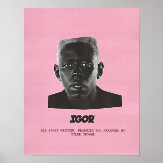 IGOR PINK POSTER (Vorne)