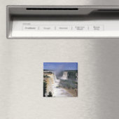 Iguacu Falls, Brasilien Magnet (In Situ (Geschirrspüler))