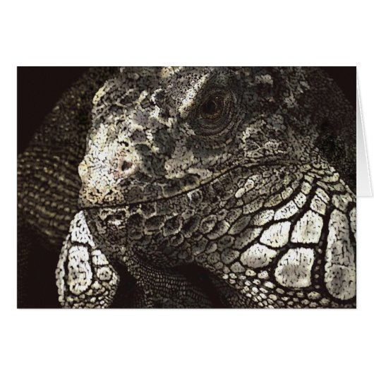 Iguana (Vorderseite (Horizontal))