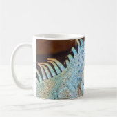Iguana 2 Tasse (Links)
