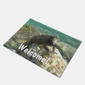 Iguana auf den Felsen bei St. Thomas Fußmatte (Schrägansicht)