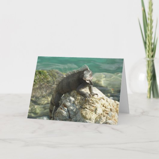 Iguana auf den Felsen bei St. Thomas Karte (Vorderseite)