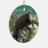 Iguana auf den Felsen bei St. Thomas Keramikornament (Rechts)