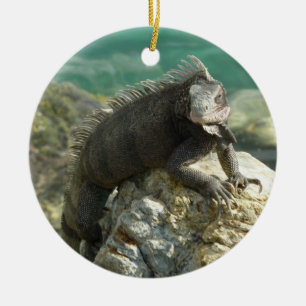 Iguana auf den Felsen bei St. Thomas Keramikornament