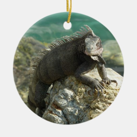 Iguana auf den Felsen bei St. Thomas Keramikornament (Vorne)