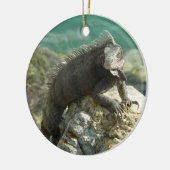 Iguana auf den Felsen bei St. Thomas Keramikornament (Links)