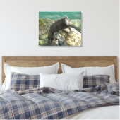 Iguana auf den Felsen bei St. Thomas Leinwanddruck (Insitu (Schlafzimmer))