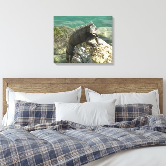 Iguana auf den Felsen bei St. Thomas Leinwanddruck (Insitu (Schlafzimmer))