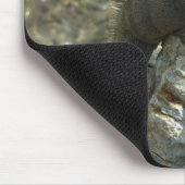 Iguana auf den Felsen bei St. Thomas Mousepad (Ecke)