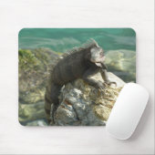 Iguana auf den Felsen bei St. Thomas Mousepad (Mit Mouse)
