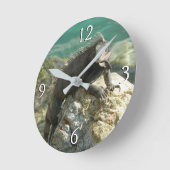 Iguana auf den Felsen bei St. Thomas Runde Wanduhr (Winkel)