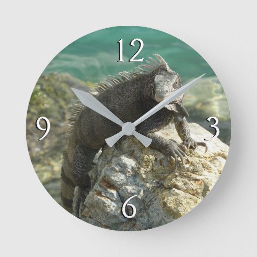 Iguana auf den Felsen bei St. Thomas Runde Wanduhr (Vorderseite)