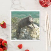 Iguana auf den Felsen bei St. Thomas Serviette (Beispiel)