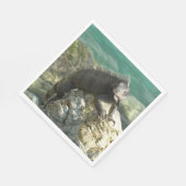 Iguana auf den Felsen bei St. Thomas Serviette (Ecke)