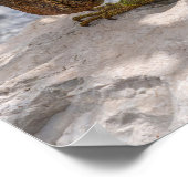 Iguana auf Stone Poster (Ecke)