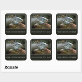 Iguana-Aufkleber Quadratischer Aufkleber (Blatt)