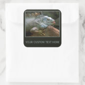 Iguana-Aufkleber Quadratischer Aufkleber (Tasche)