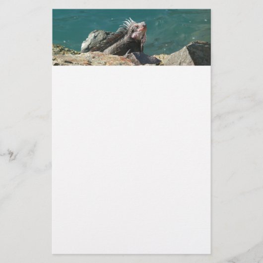 Iguana bei St. Thomas Briefpapier (Vorderseite)