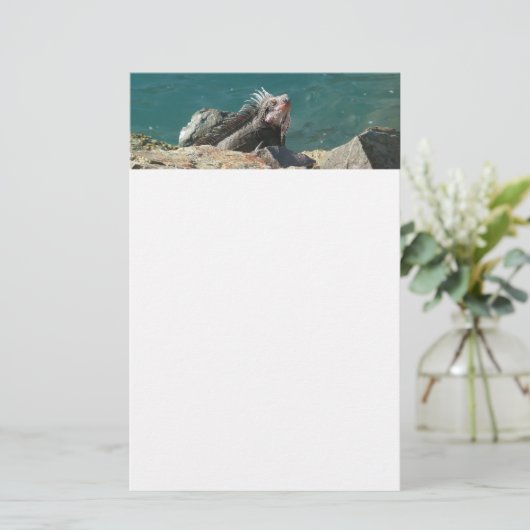Iguana bei St. Thomas Briefpapier (Stehend Vorderseite)