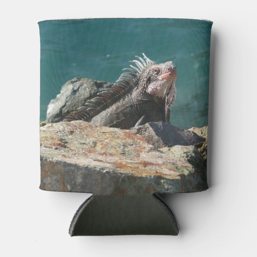 Iguana bei St. Thomas Dosenkühler (Vorderseite)