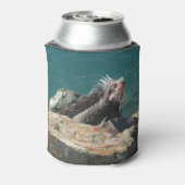 Iguana bei St. Thomas Dosenkühler (Kanne Rückseite)