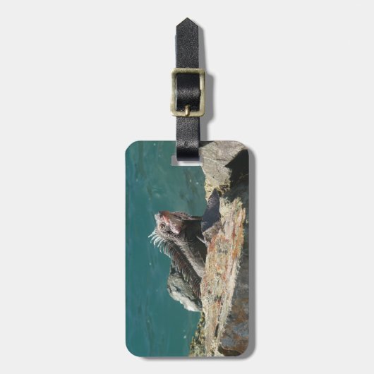 Iguana bei St. Thomas Gepäckanhänger (Vorderseite vertikal)