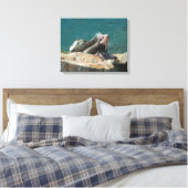 Iguana bei St. Thomas Leinwanddruck (Insitu (Schlafzimmer))