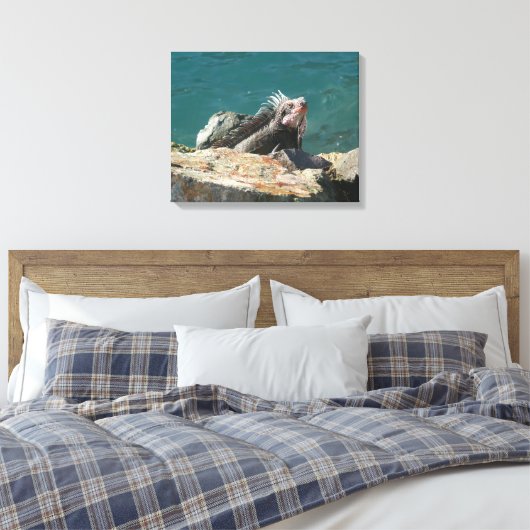 Iguana bei St. Thomas Leinwanddruck (Insitu (Schlafzimmer))