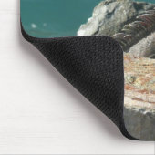 Iguana bei St. Thomas Mousepad (Ecke)