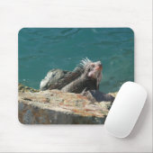 Iguana bei St. Thomas Mousepad (Mit Mouse)