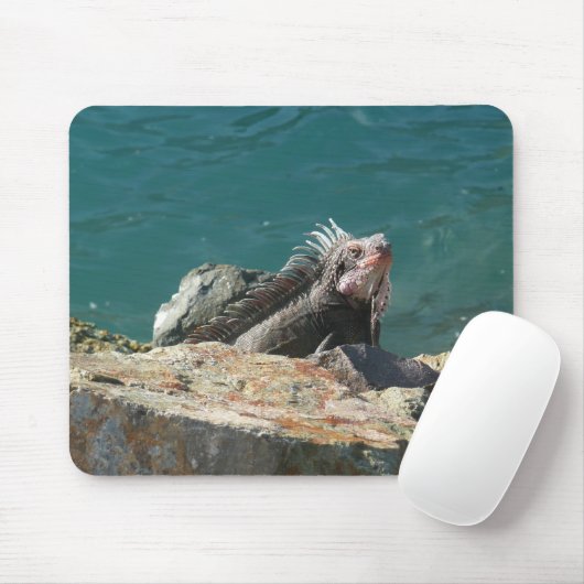 Iguana bei St. Thomas Mousepad (Mit Mouse)