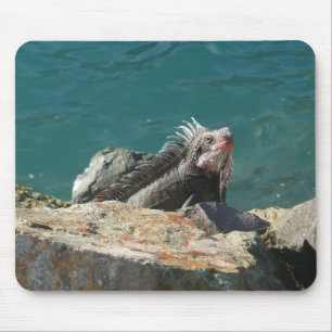 Iguana bei St. Thomas Mousepad
