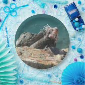 Iguana bei St. Thomas Pappteller (Party)