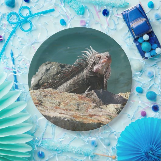 Iguana bei St. Thomas Pappteller (Party)