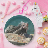 Iguana bei St. Thomas Pappteller (Party)