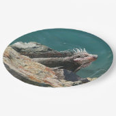 Iguana bei St. Thomas Pappteller (Schrägansicht)