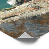 Iguana bei St. Thomas Poster (Ecke)